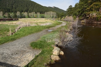A peaceful landscape with a winding path symbolizing life's journey.