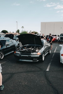 A car meet-up in a parking lot features several vehicles with their hoods open. In the center, a dark-colored car displays its engine for viewing. People are gathered around the cars, some engaged in conversation. The setting includes a clear sky and a few palm trees in the background.