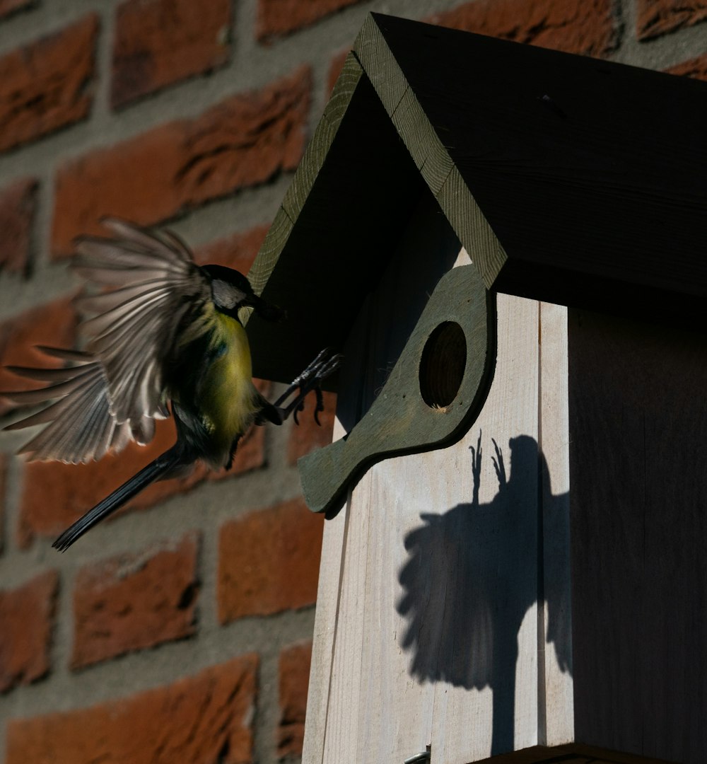 a bird is flying towards a bird house