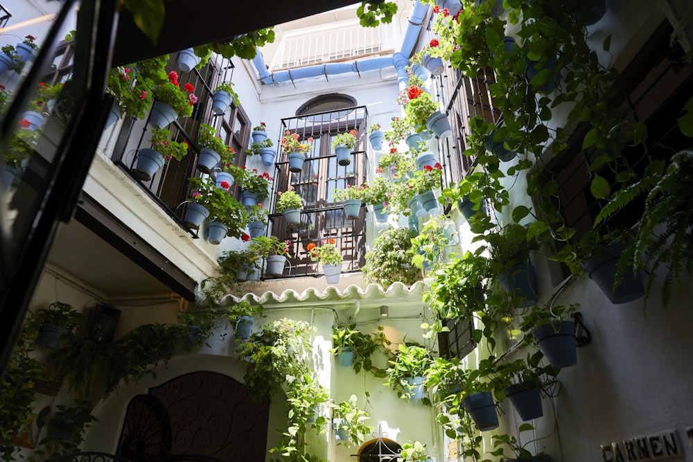 a building with a bunch of potted plants on the outside of it