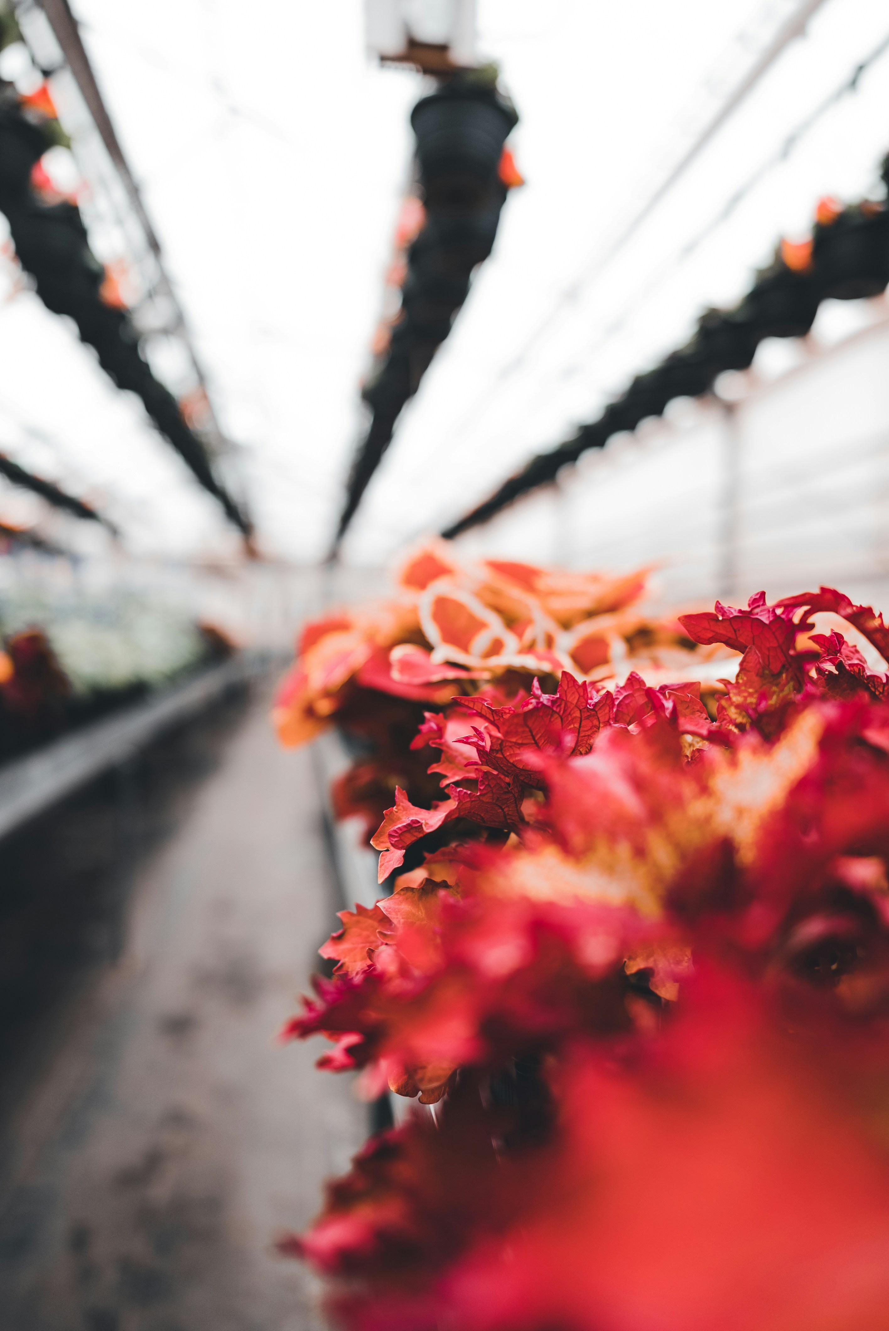 Photo by introspectivedsgn