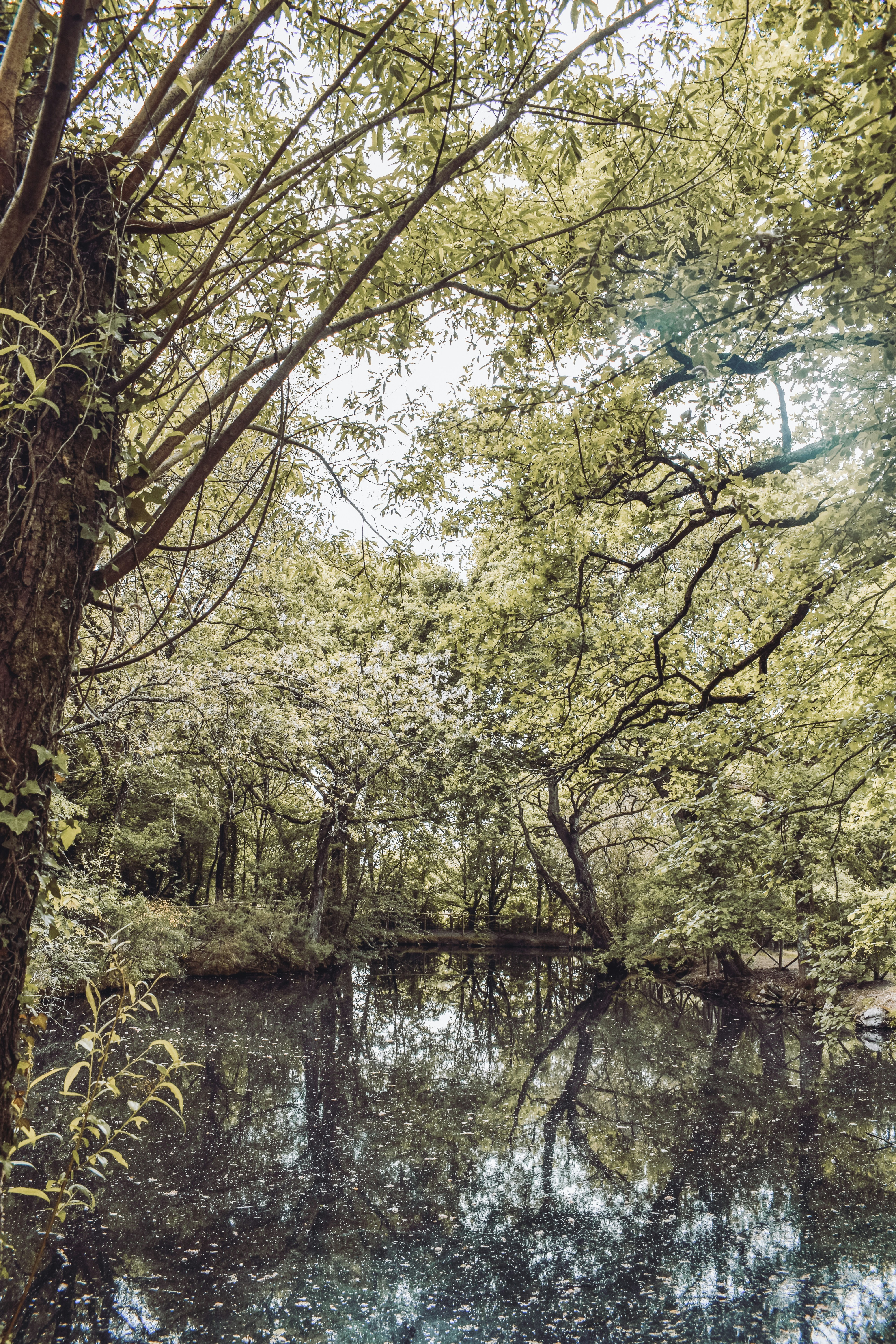 Photo by not_as_cool