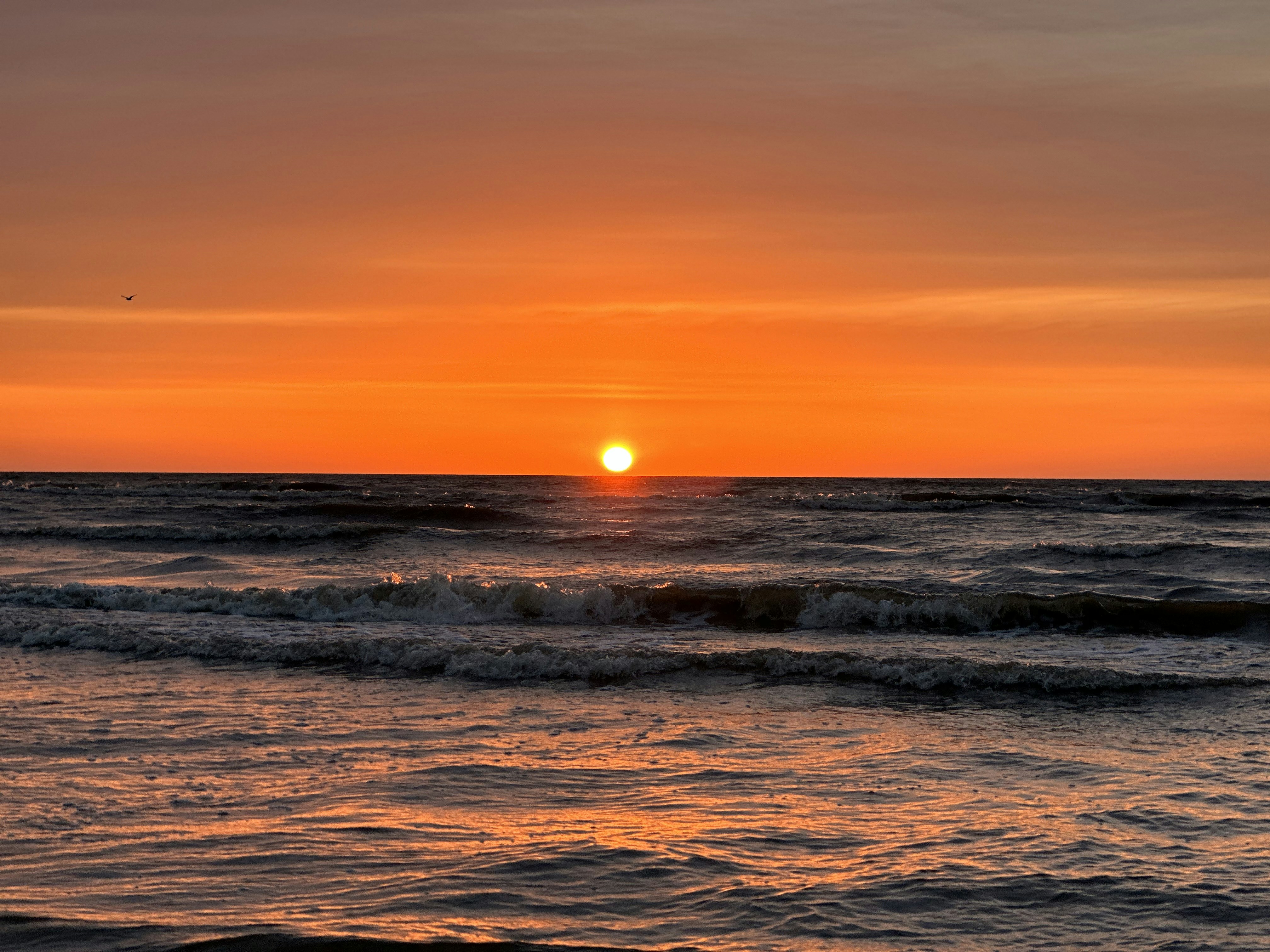 Photo by martin_numan