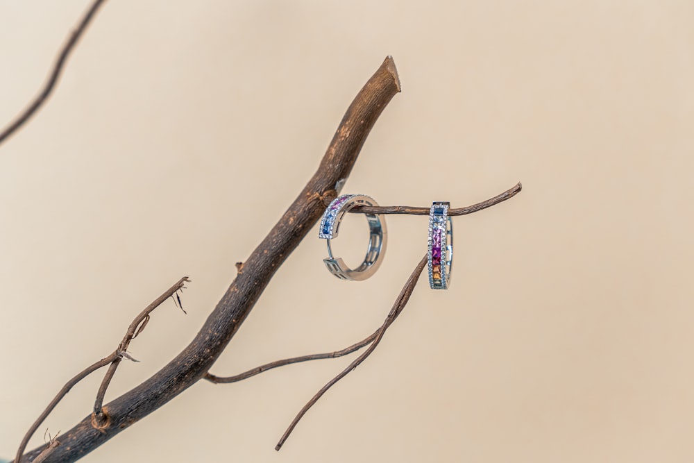a branch with two rings hanging from it
