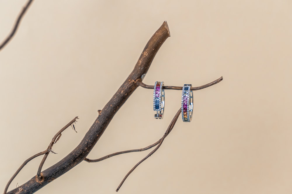 a pair of earrings hanging from a branch