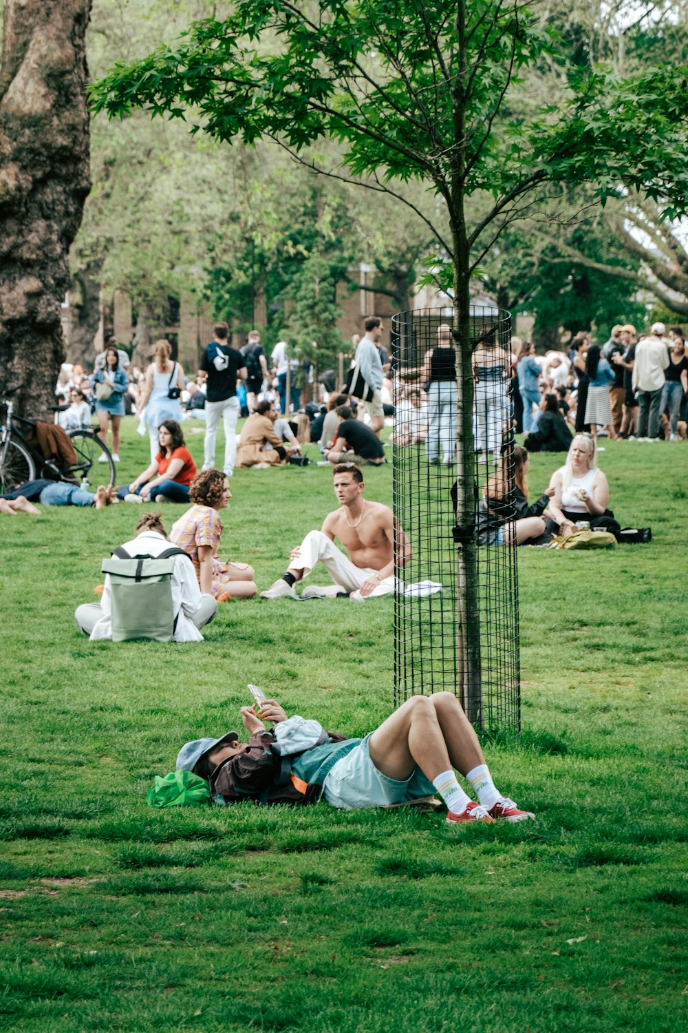 a group of people sitting and standing around in a park