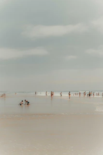 a group of people standing on top of a sandy beach