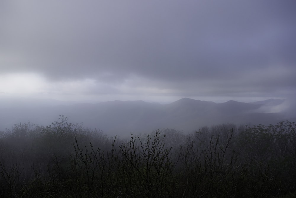 a foggy landscape with mountains in the distance