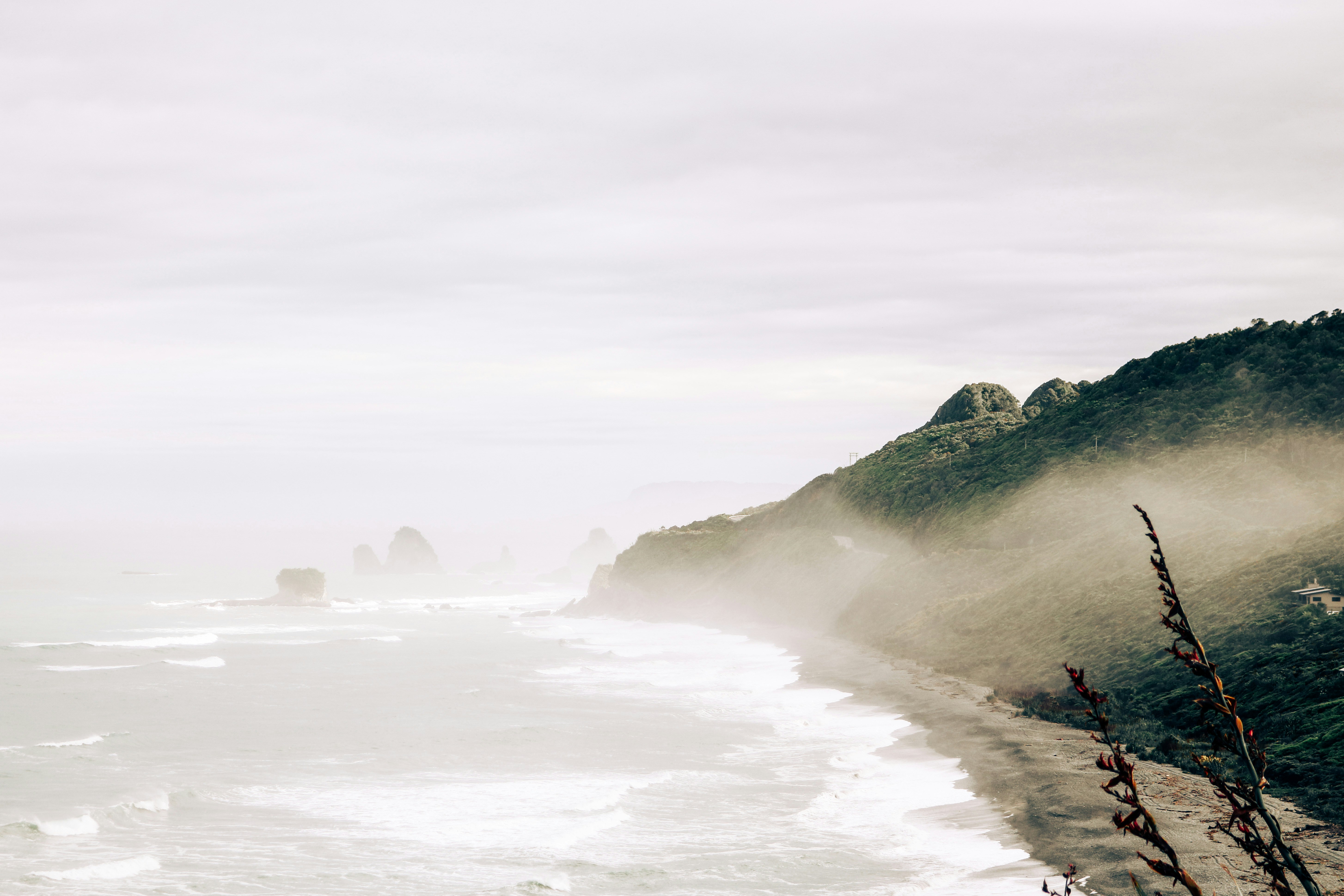 Photo by rubyholling