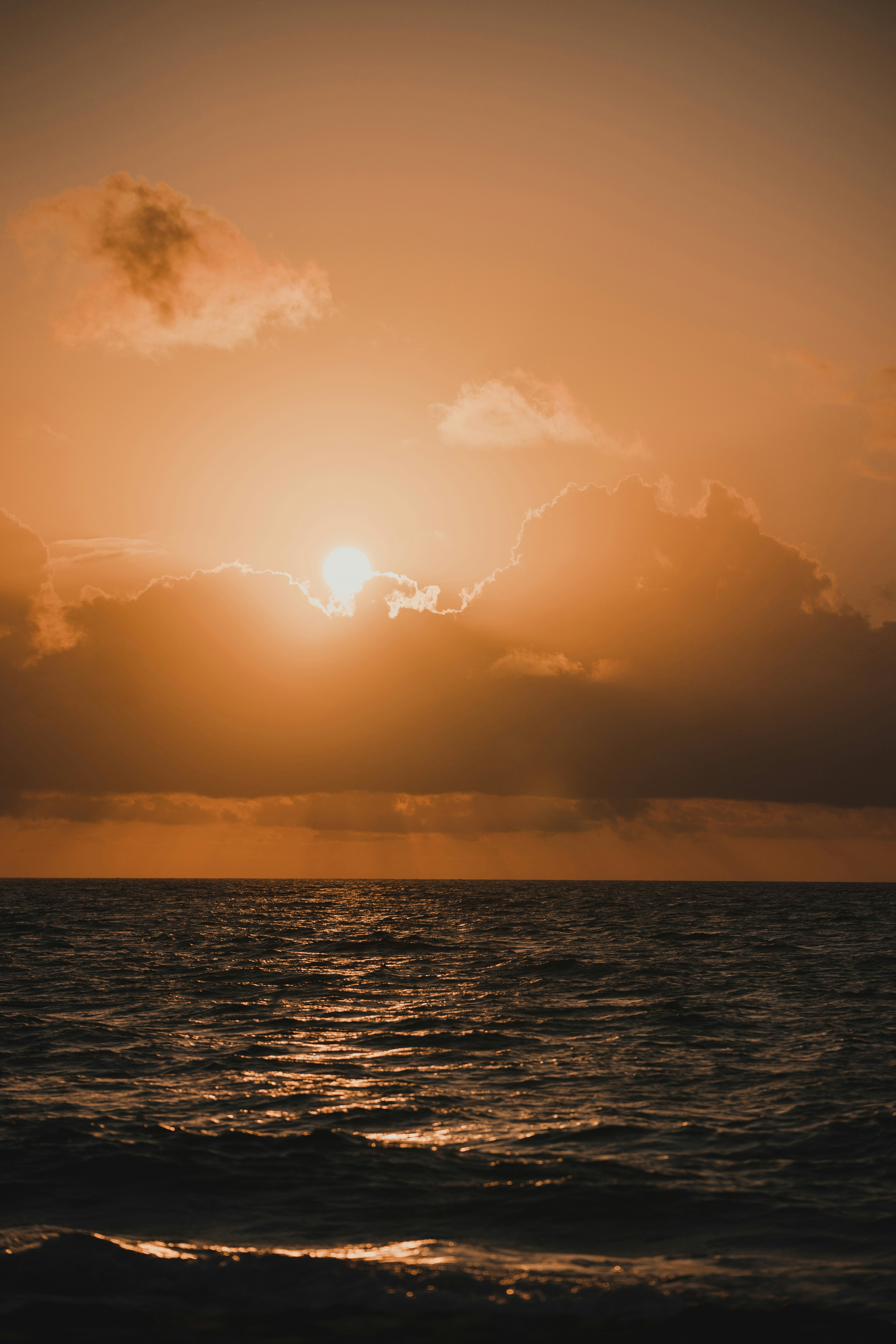 Photo by patriciabrochu