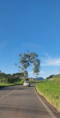 A comfortable vehicle driving through Sydney's scenic streets.