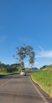 A comfortable vehicle driving through Sydney's scenic streets.