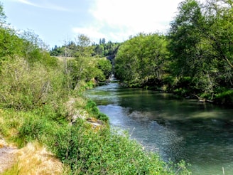 A smooth river flowing gently through a lush landscape under soft morning light.