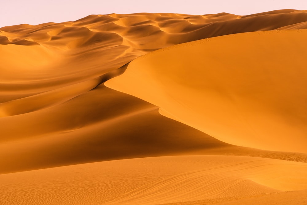 a large group of sand dunes in the desert