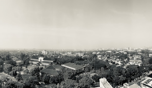 Aerial view of an urban landscape with a blend of modern and colonial-style buildings surrounded by numerous trees and greenery. The city unfolds into the distance, with a hazy sky above and scattered high-rise buildings visible in the background. The architecture and layout suggest a harmonious integration of urban development and nature.