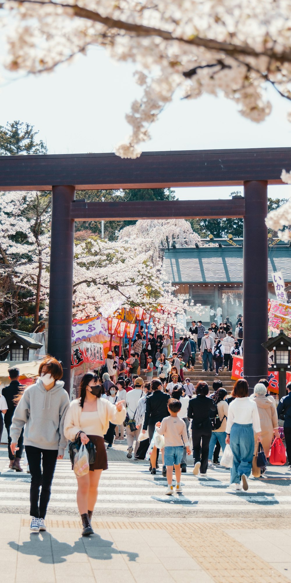 a group of people walking under a cherry blossom tree