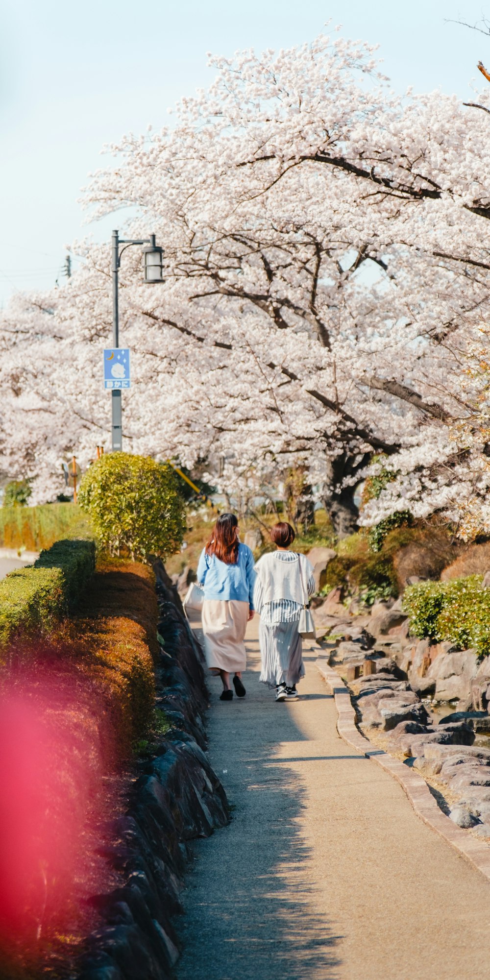 a couple of people walking down a path next to a tree