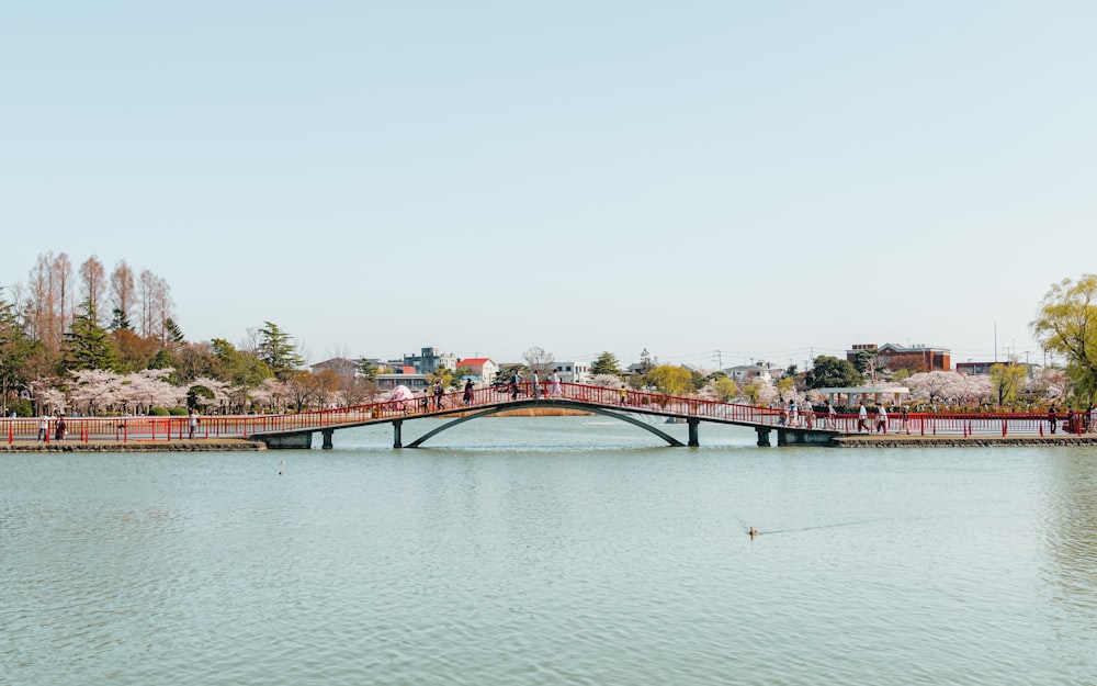 a bridge over a body of water with trees in the background