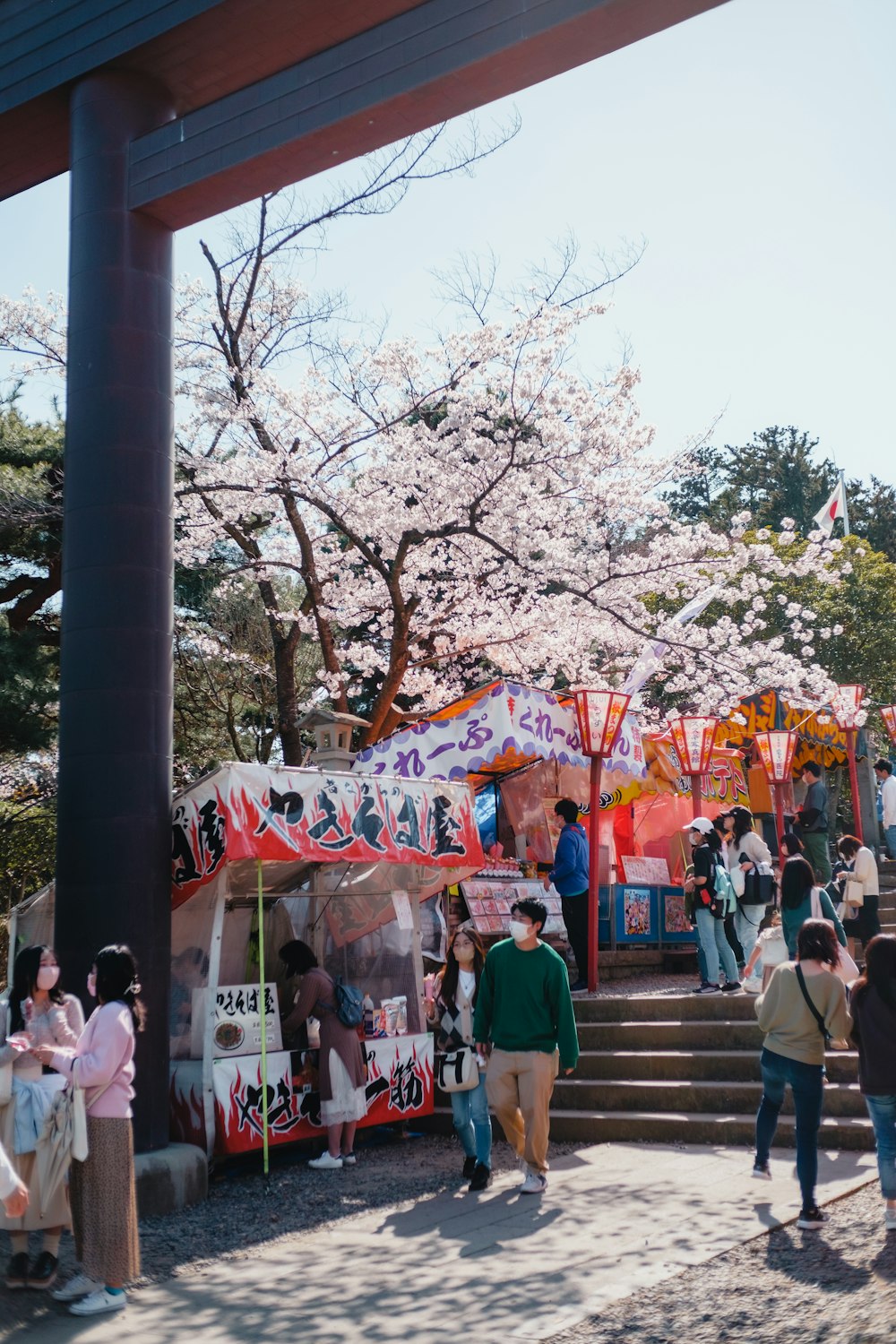 a group of people standing under a cherry blossom tree