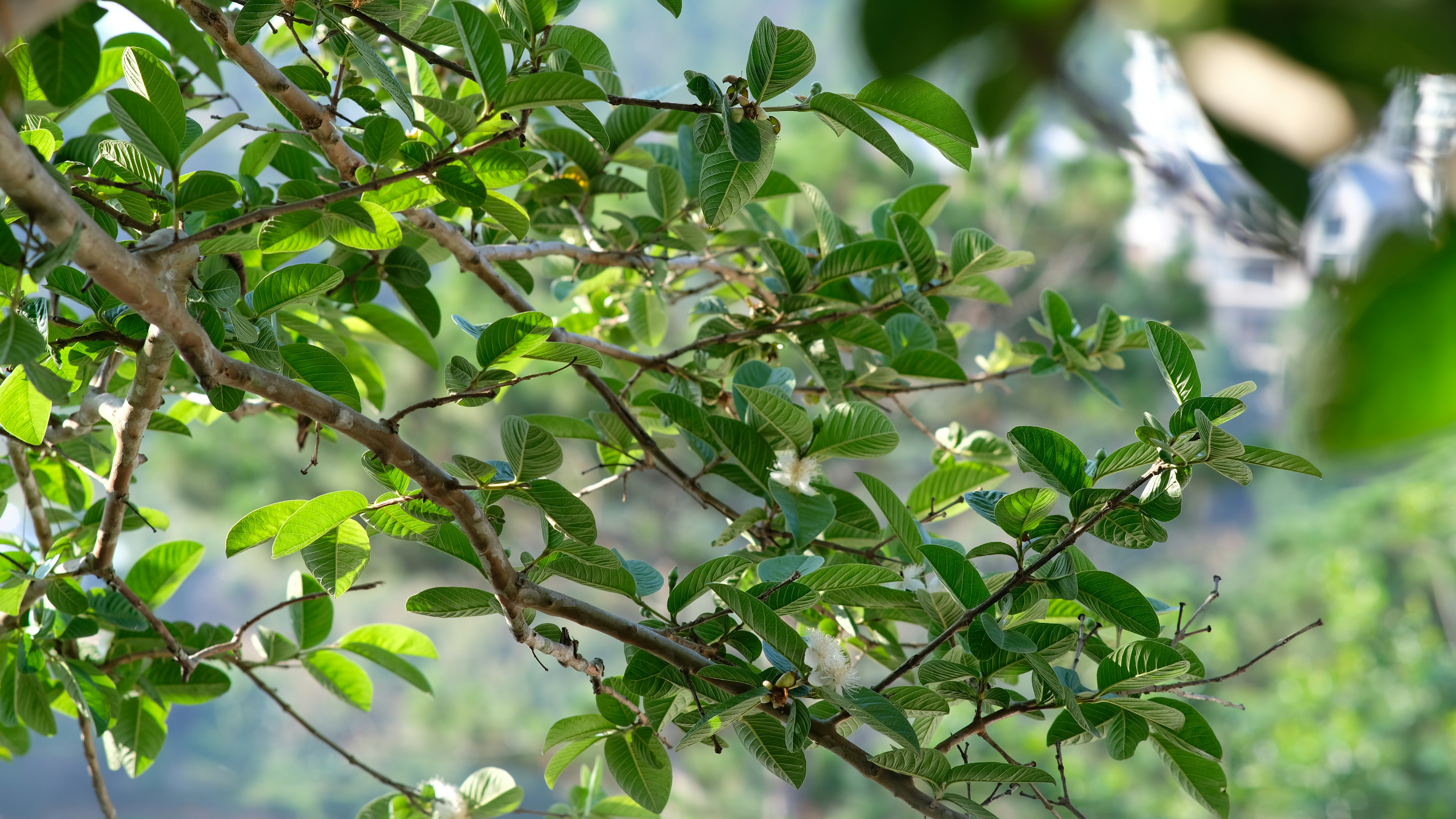 Photo by anniehatuanh