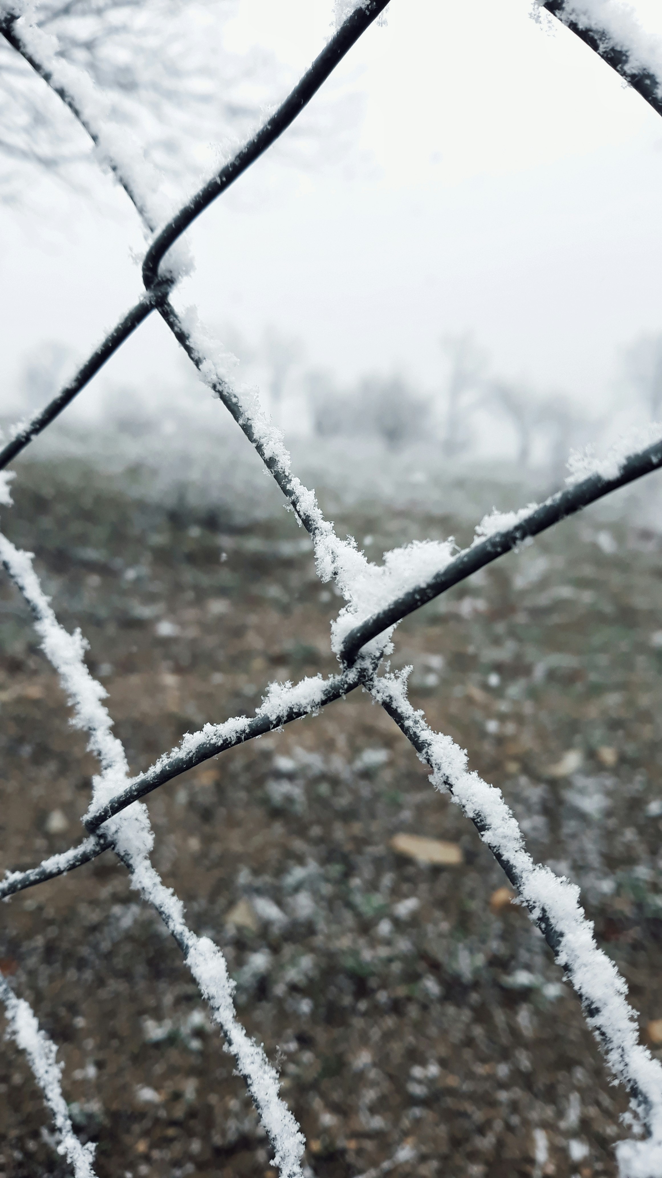 Photo by aliisarvari