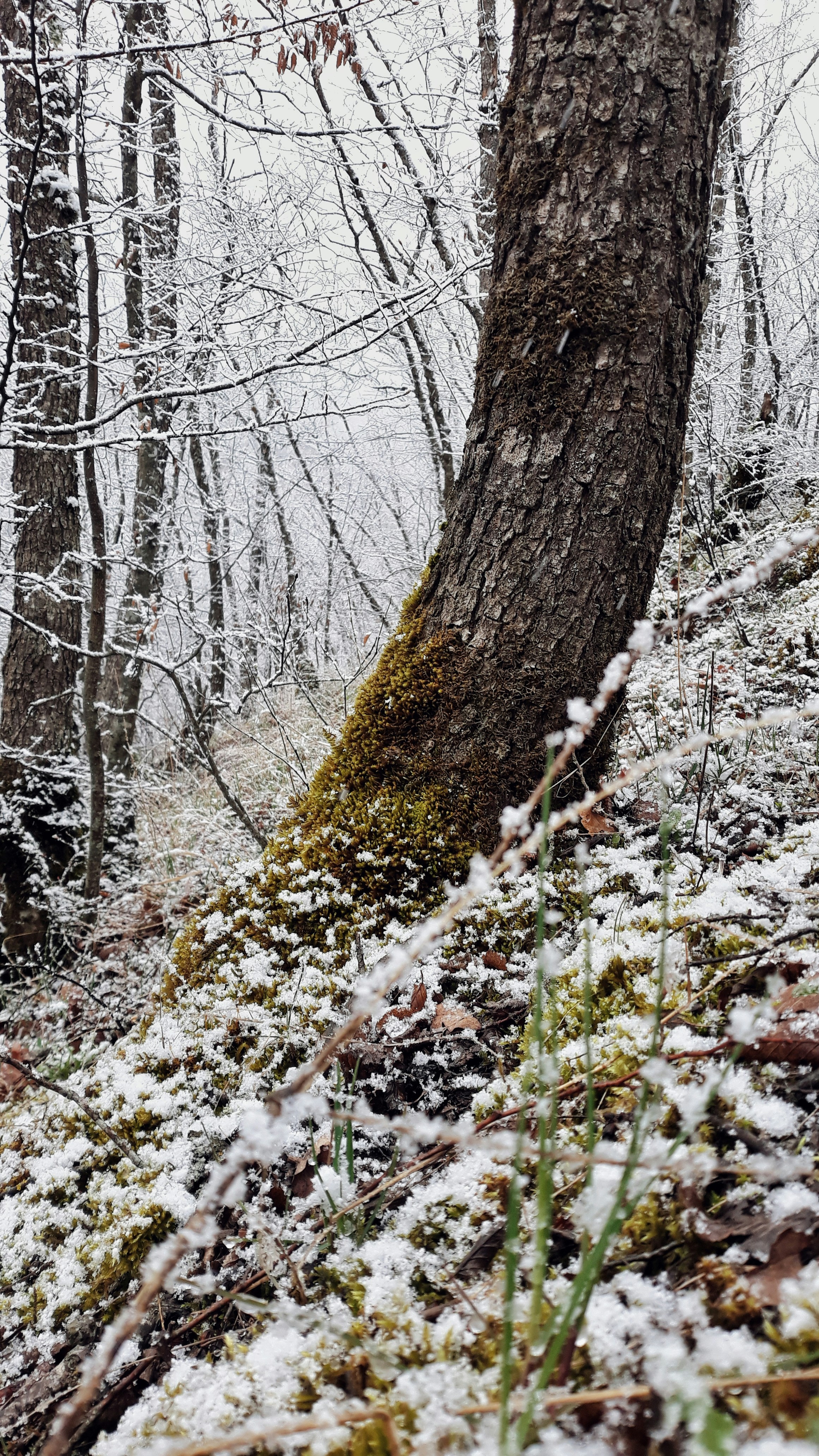 Photo by aliisarvari