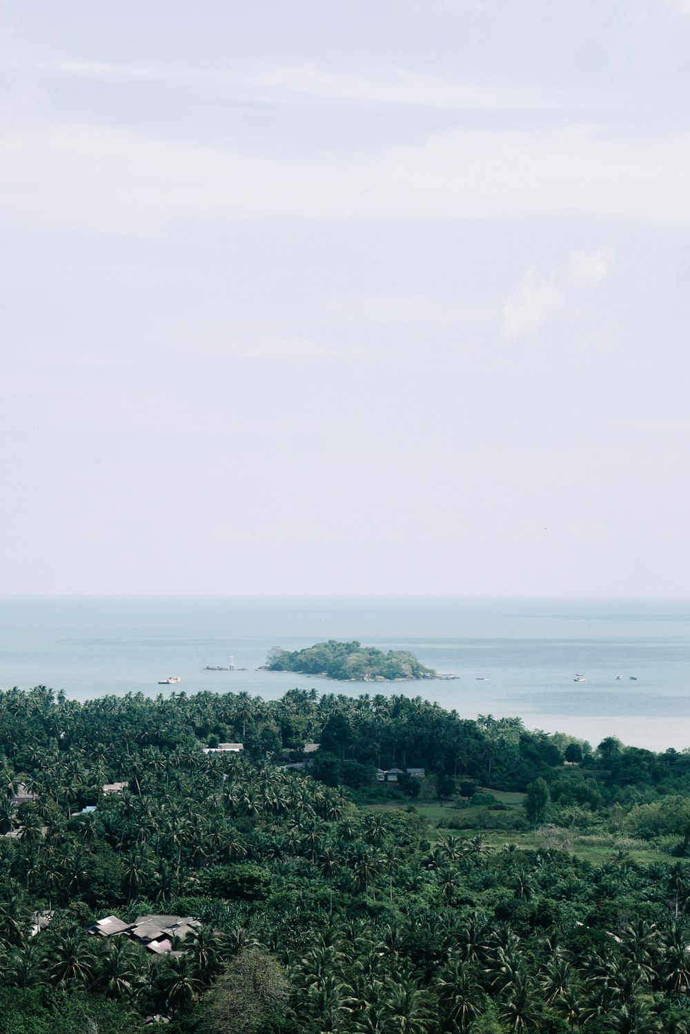 a large body of water surrounded by trees