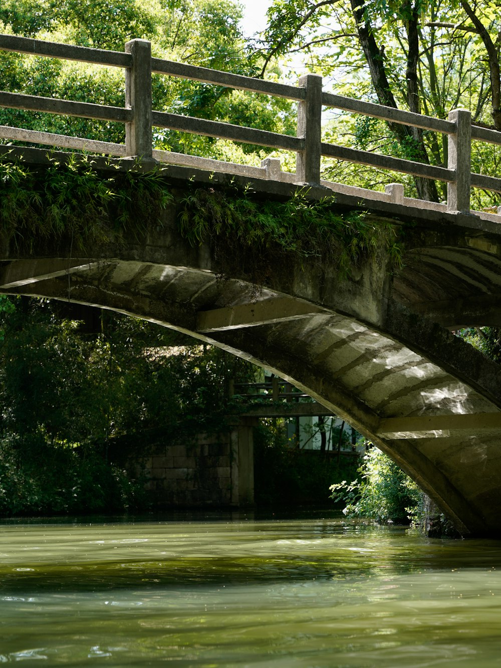 a bridge over a body of water surrounded by trees