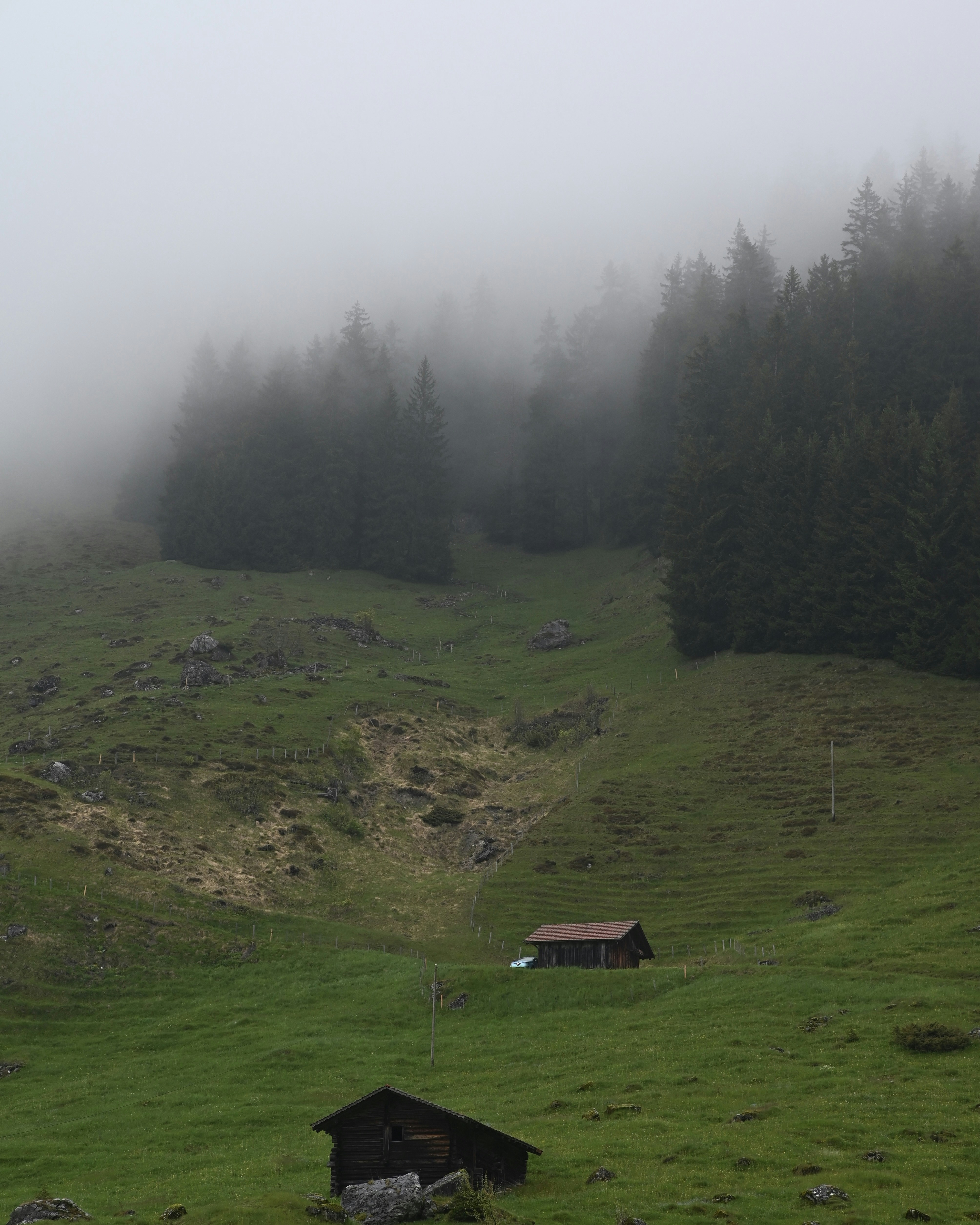 Photo by mortezakhalili