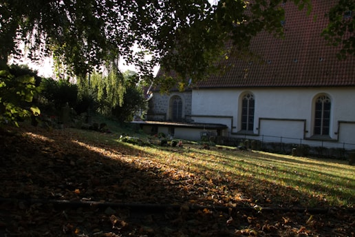 A serene church setting with sunlight filtering through the trees.