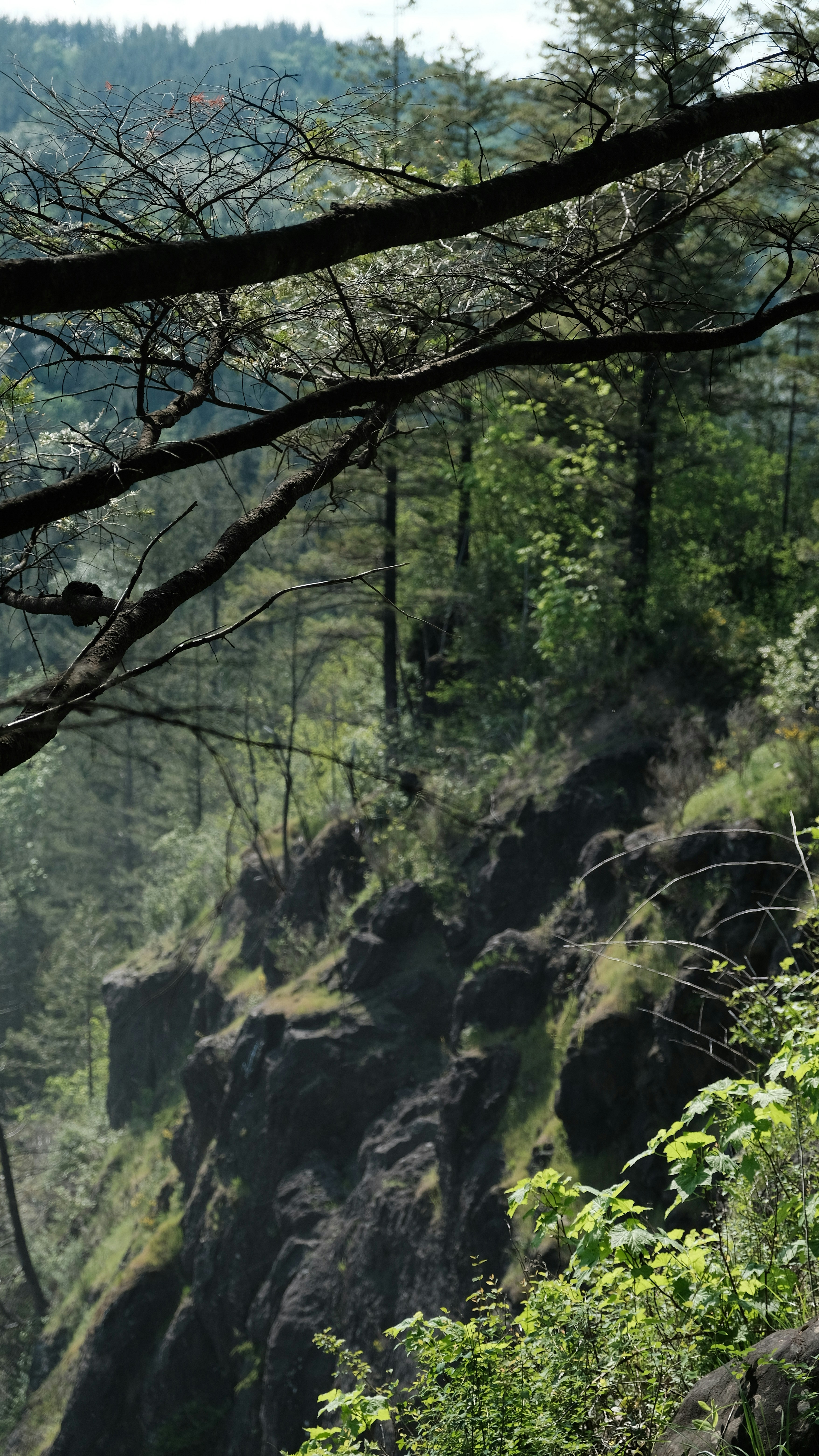 Photo by tomtheon1yone