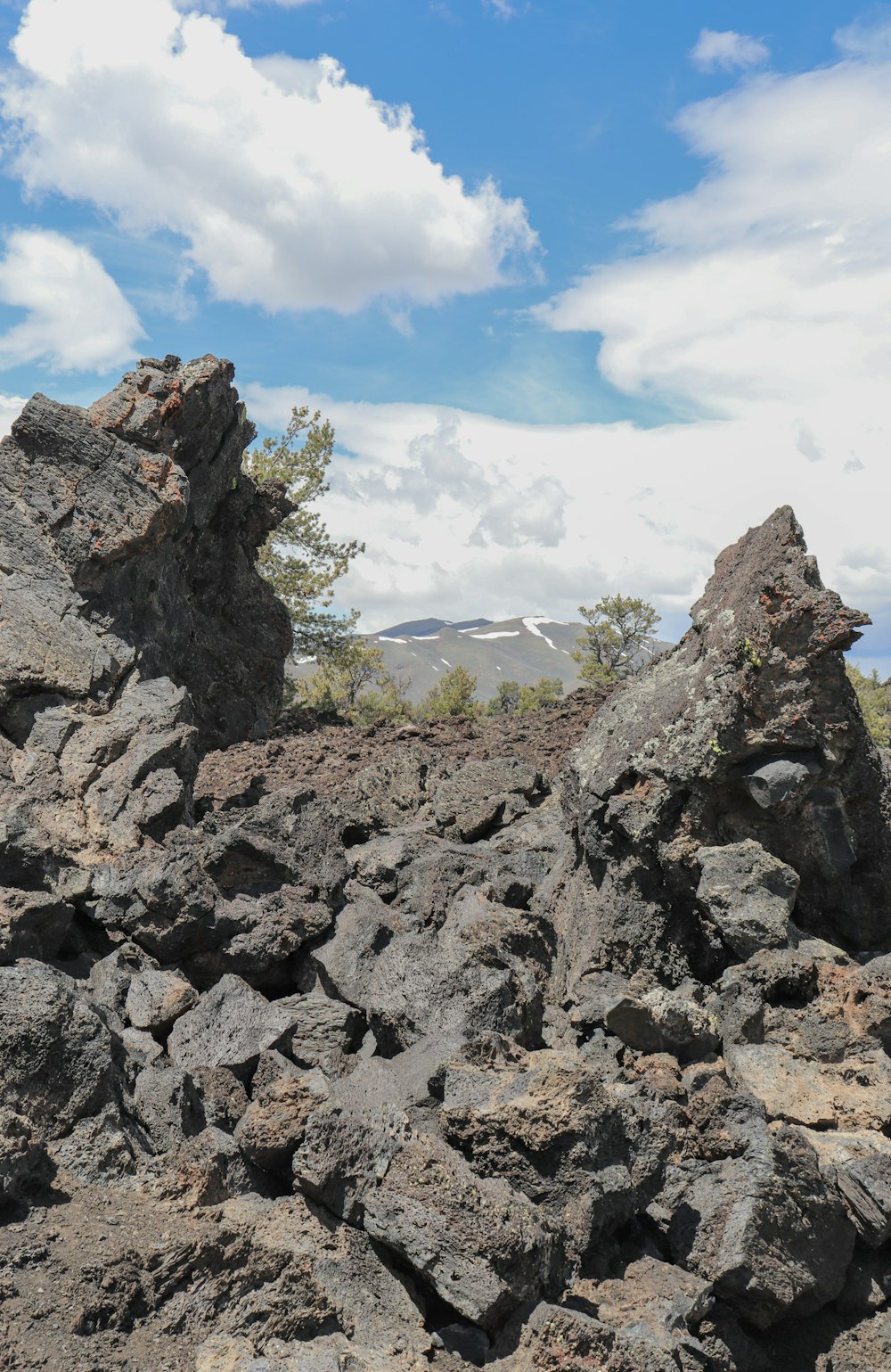 a rocky area with a mountain in the background