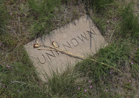 A gravestone marked with the word 'UNKNOWN' lies among tall grass and scattered small purple flowers. Two dried roses rest diagonally across the stone, suggesting a sense of remembrance.