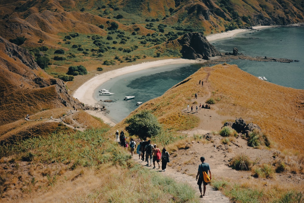 a group of people walking up a hill next to a body of water