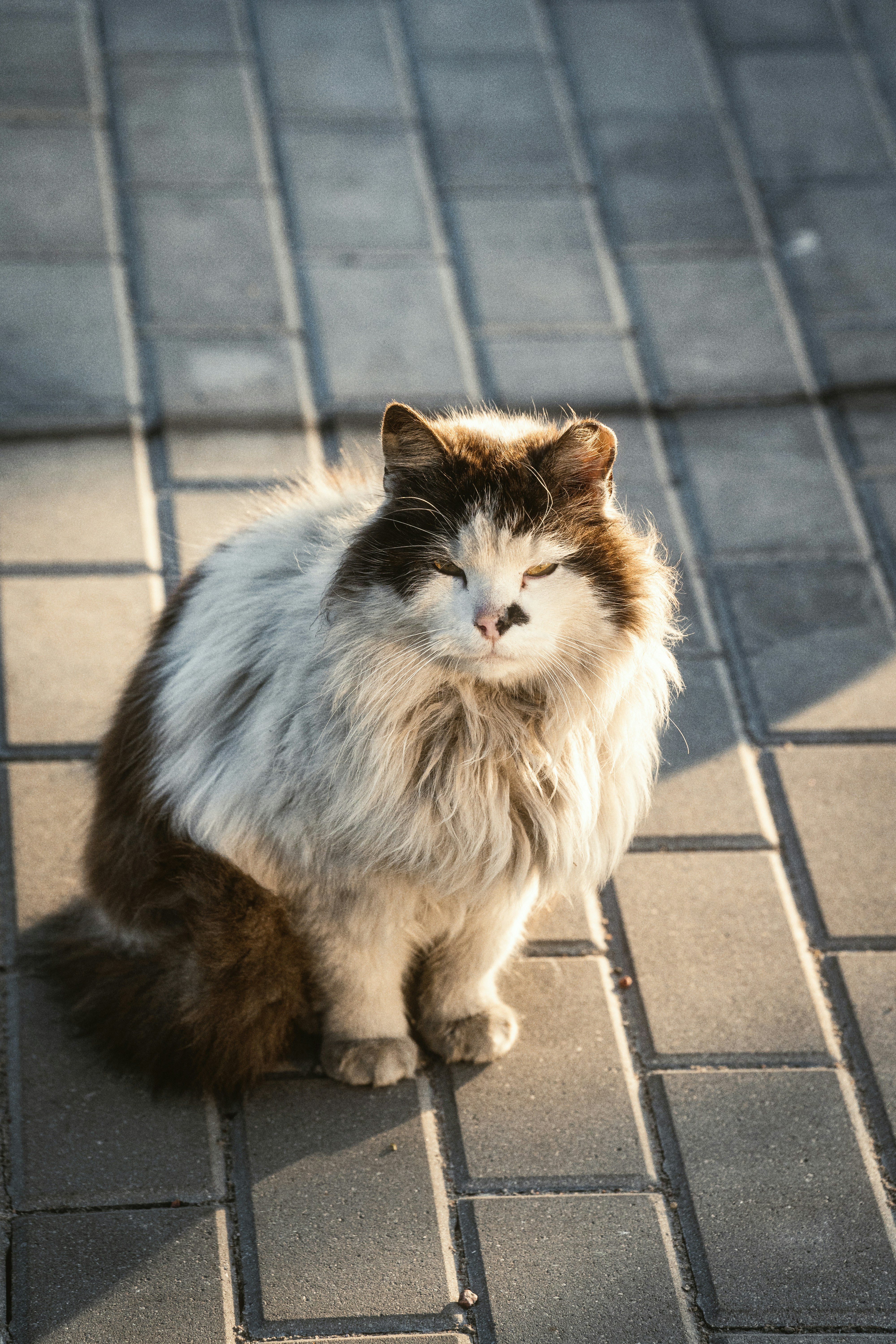 Photo by alexshuperart