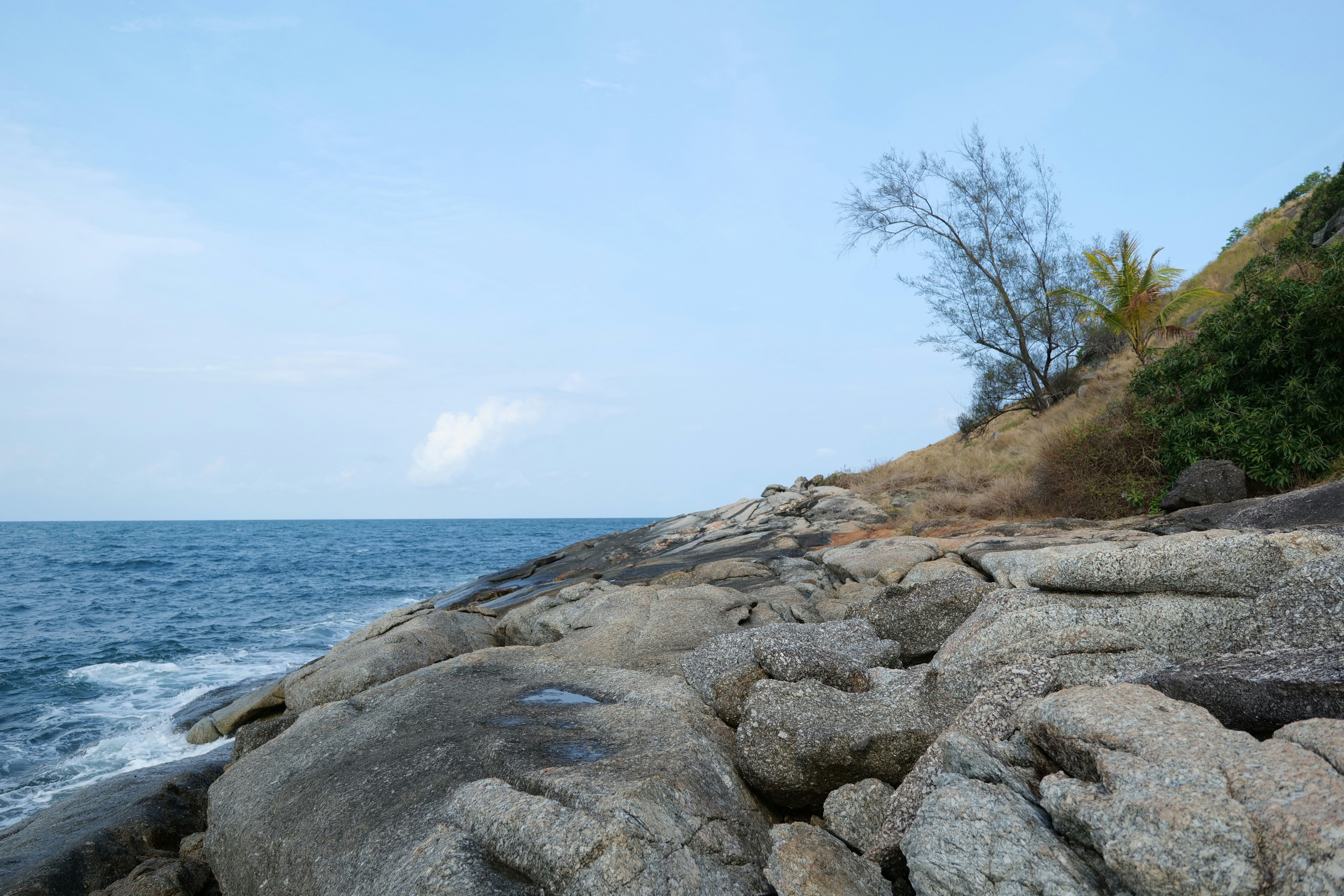 Photo by wararatsara