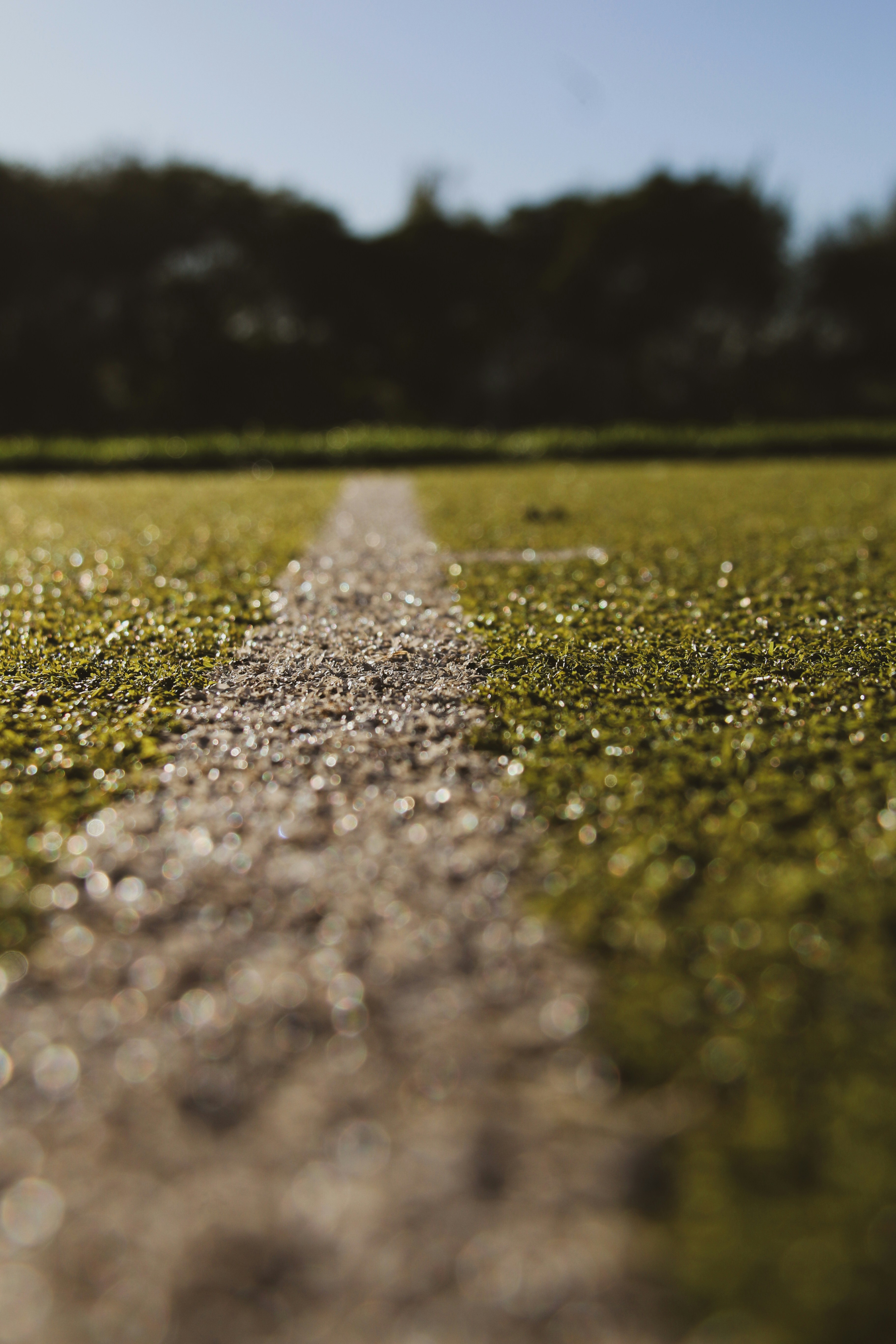 a path in the middle of a grassy field