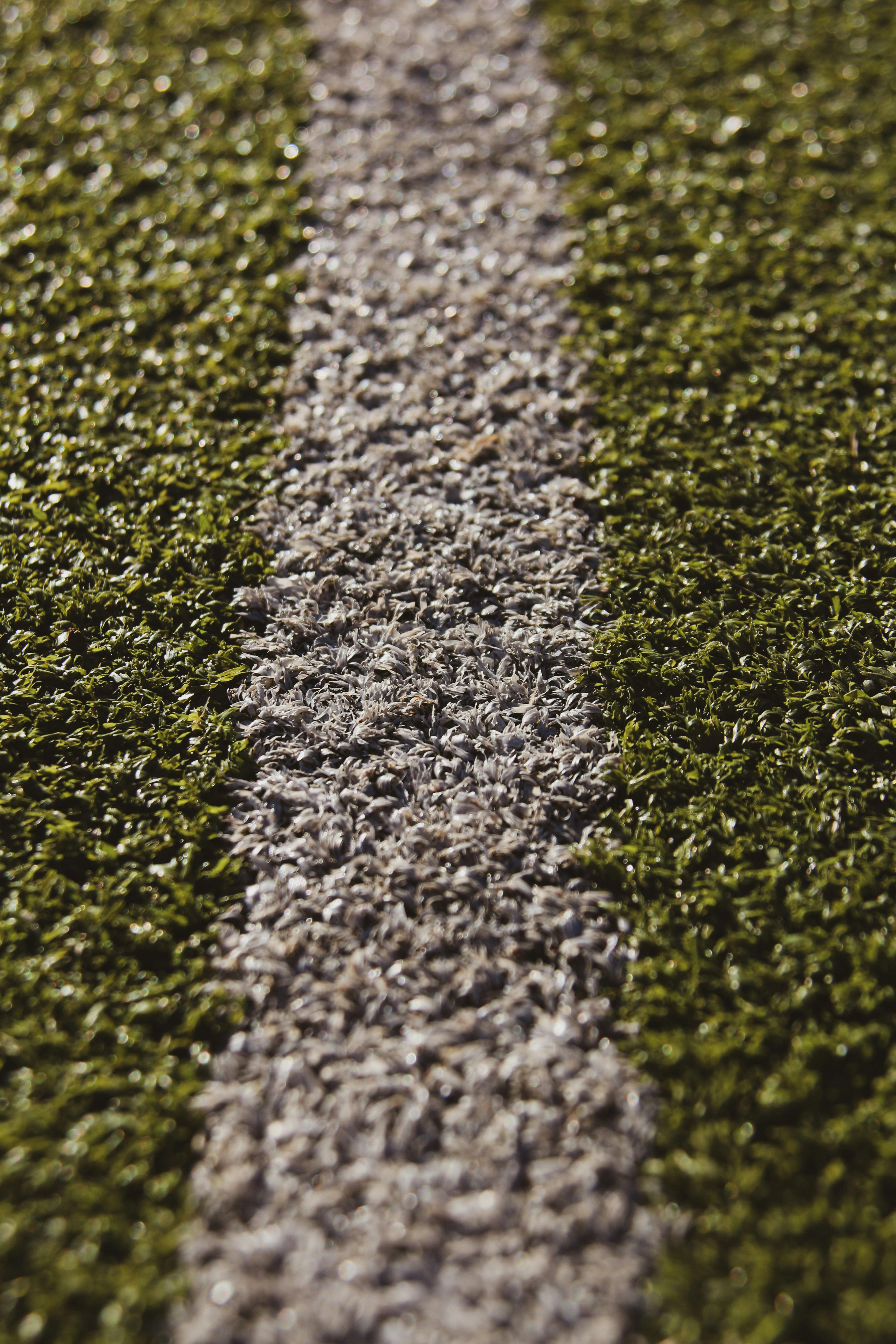 a close up of a street with grass growing on it
