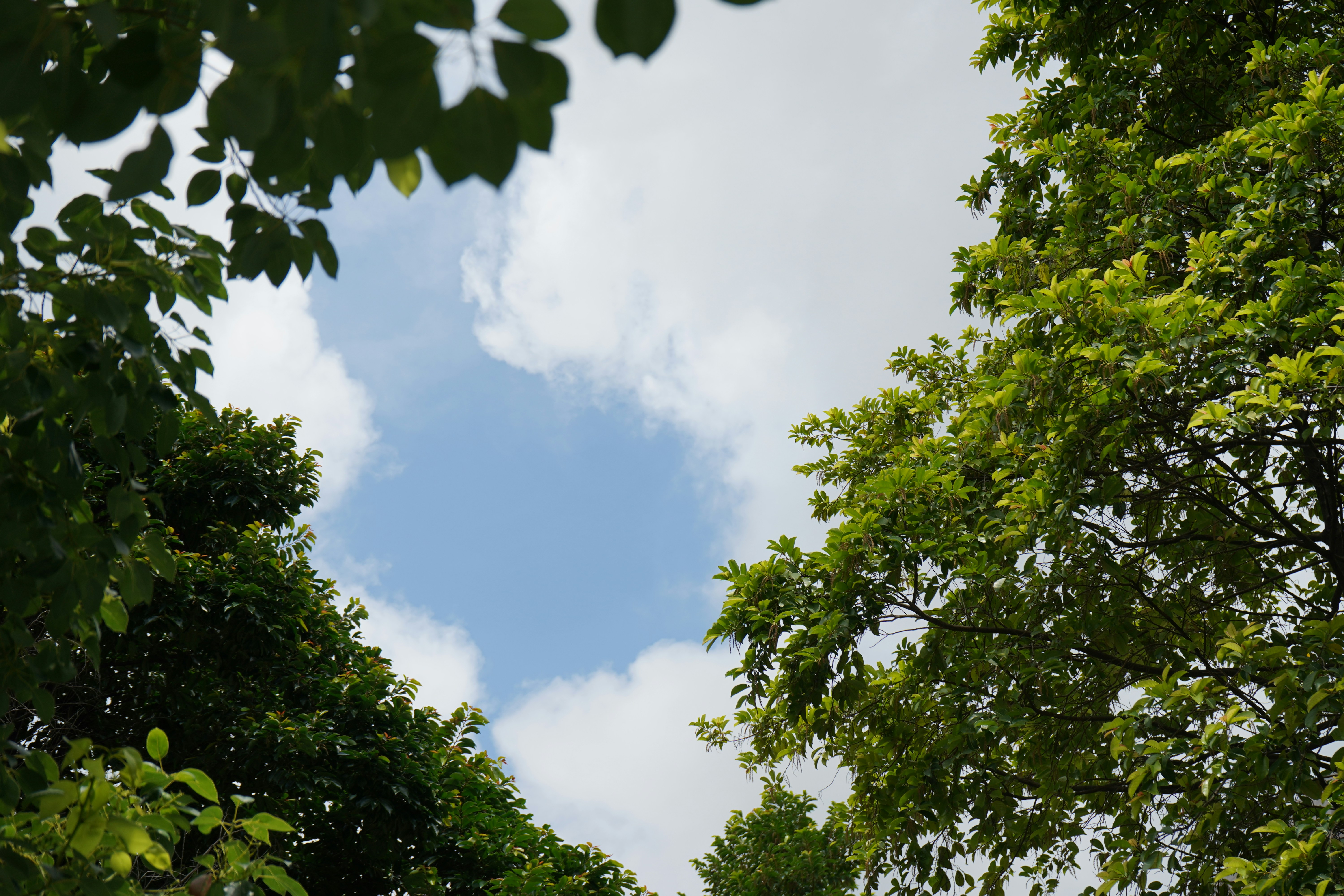 Photo by nefelibataniska