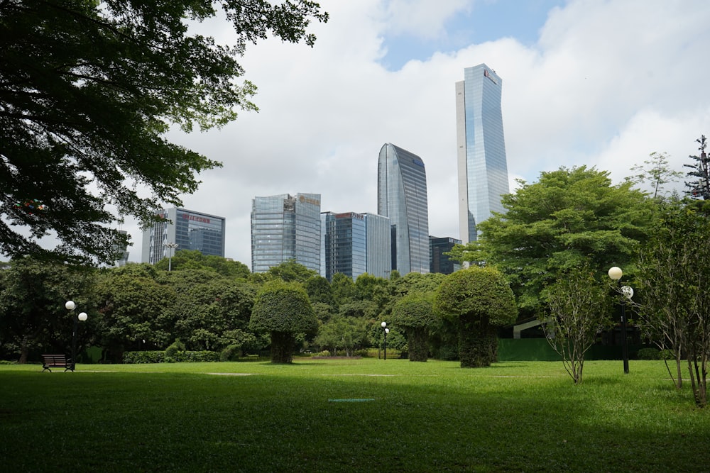 a grassy area in a park with tall buildings in the background