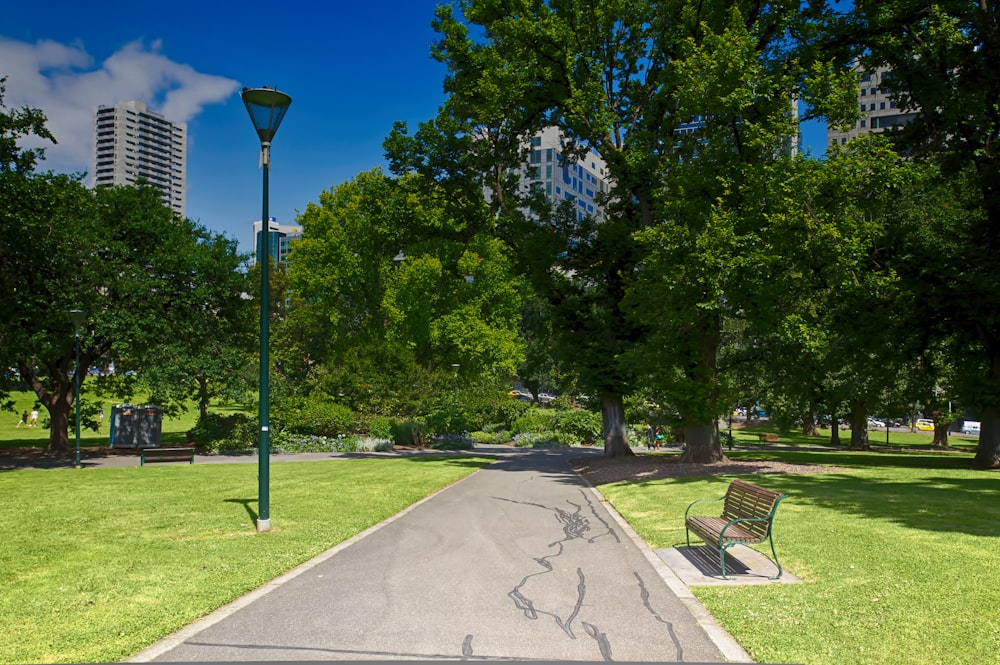 a park with a bench and a street light