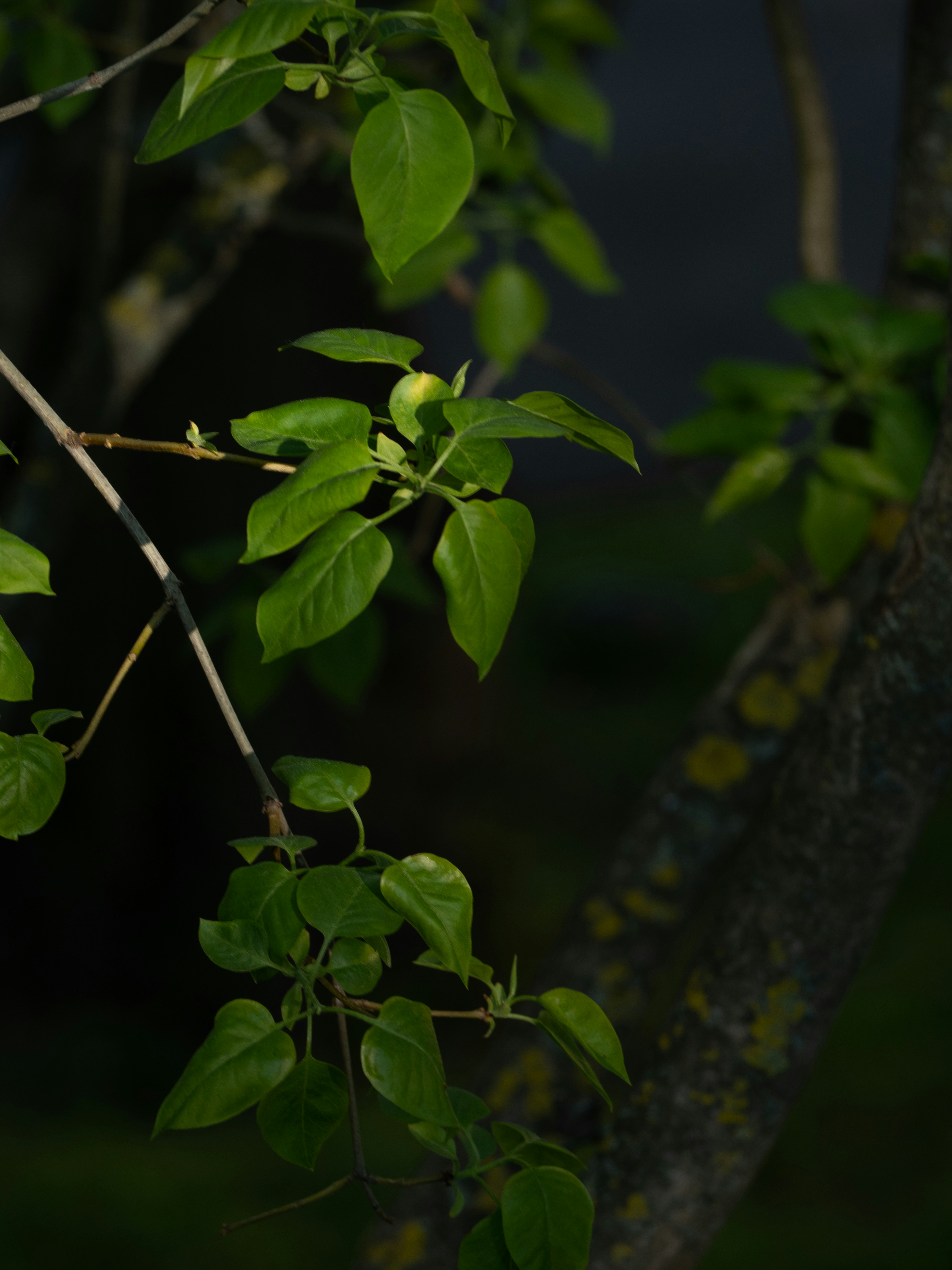 Photo by janifreelancing