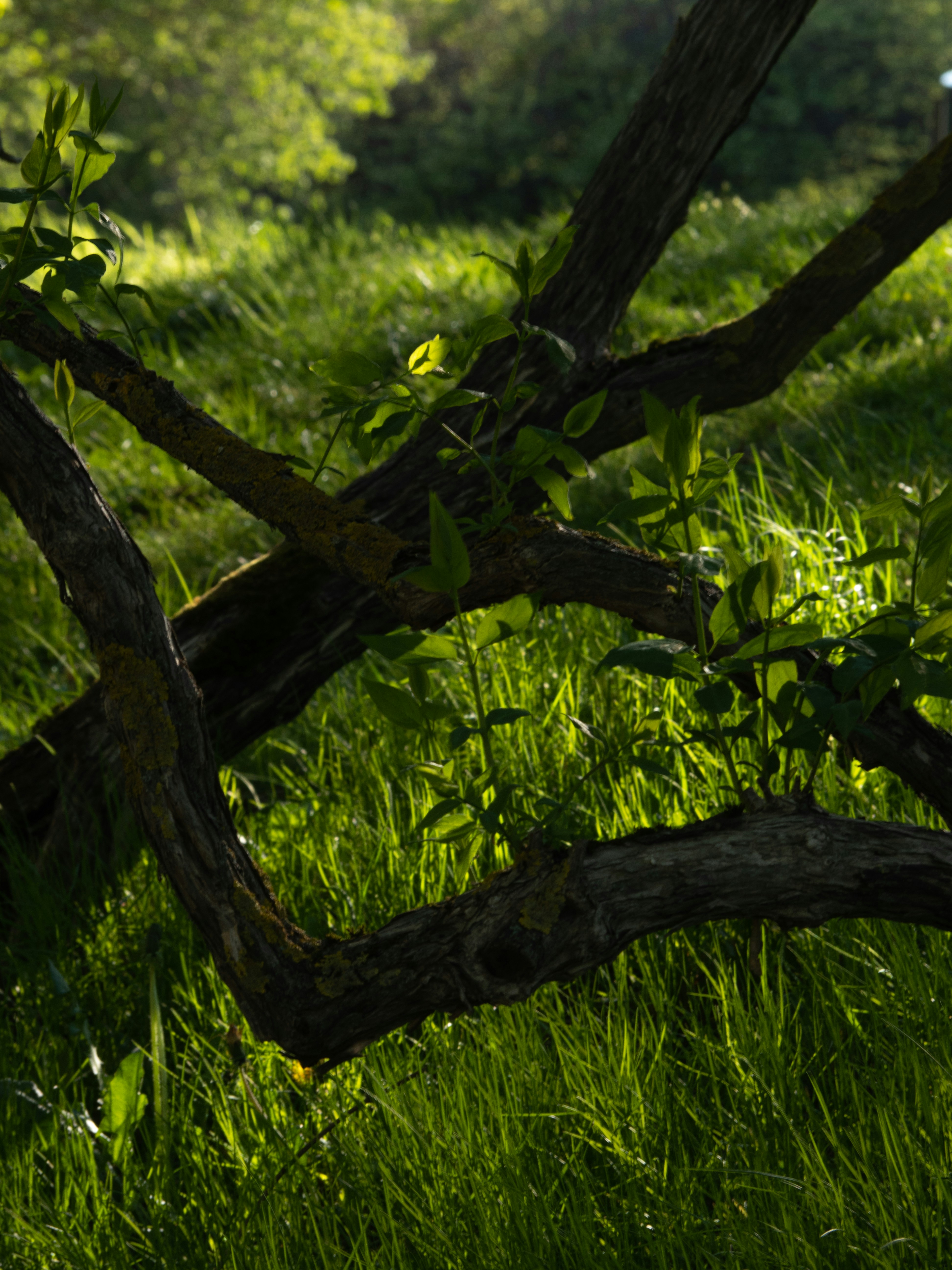 Photo by janifreelancing