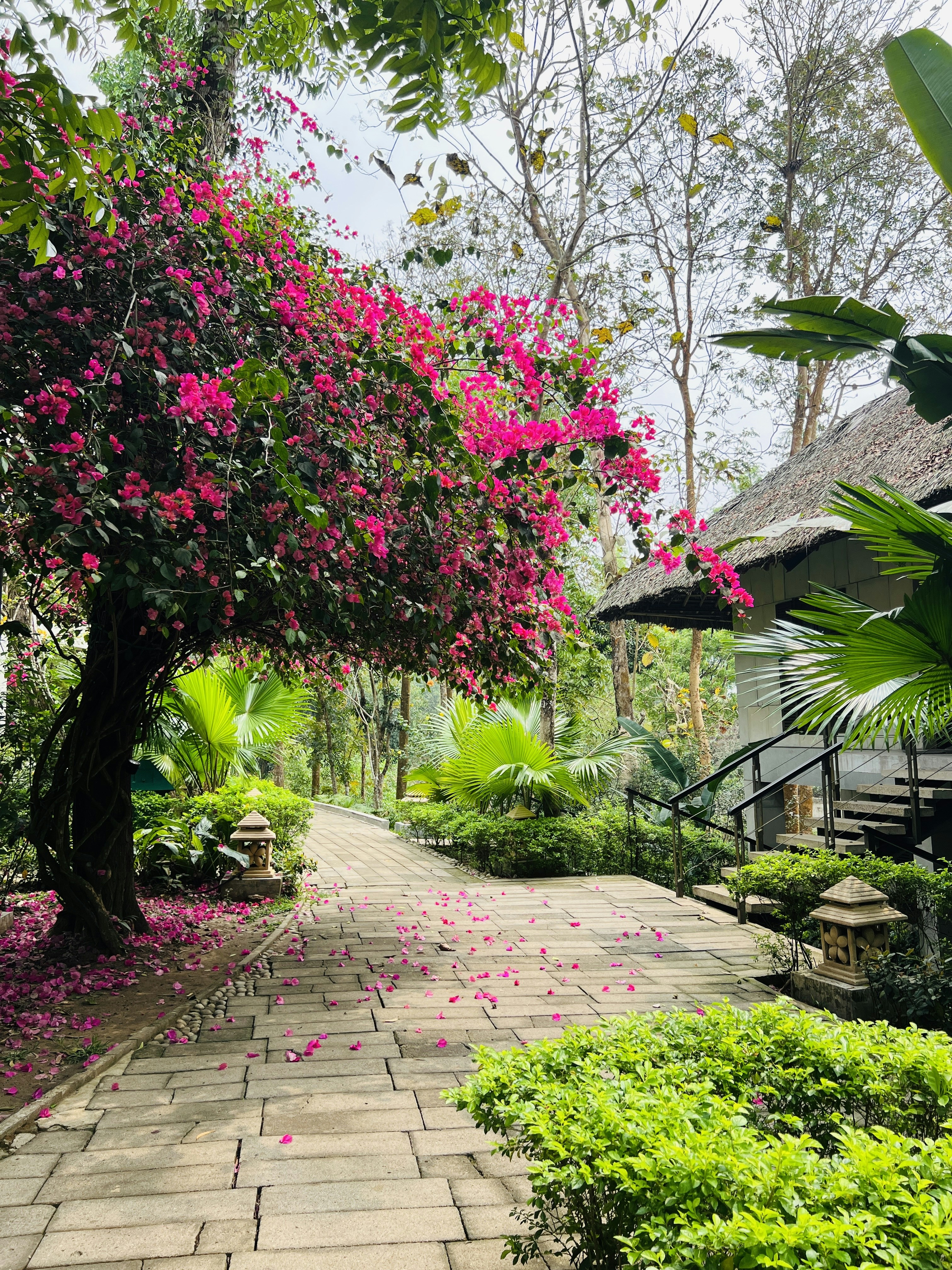 "Andaman Villa Resort"