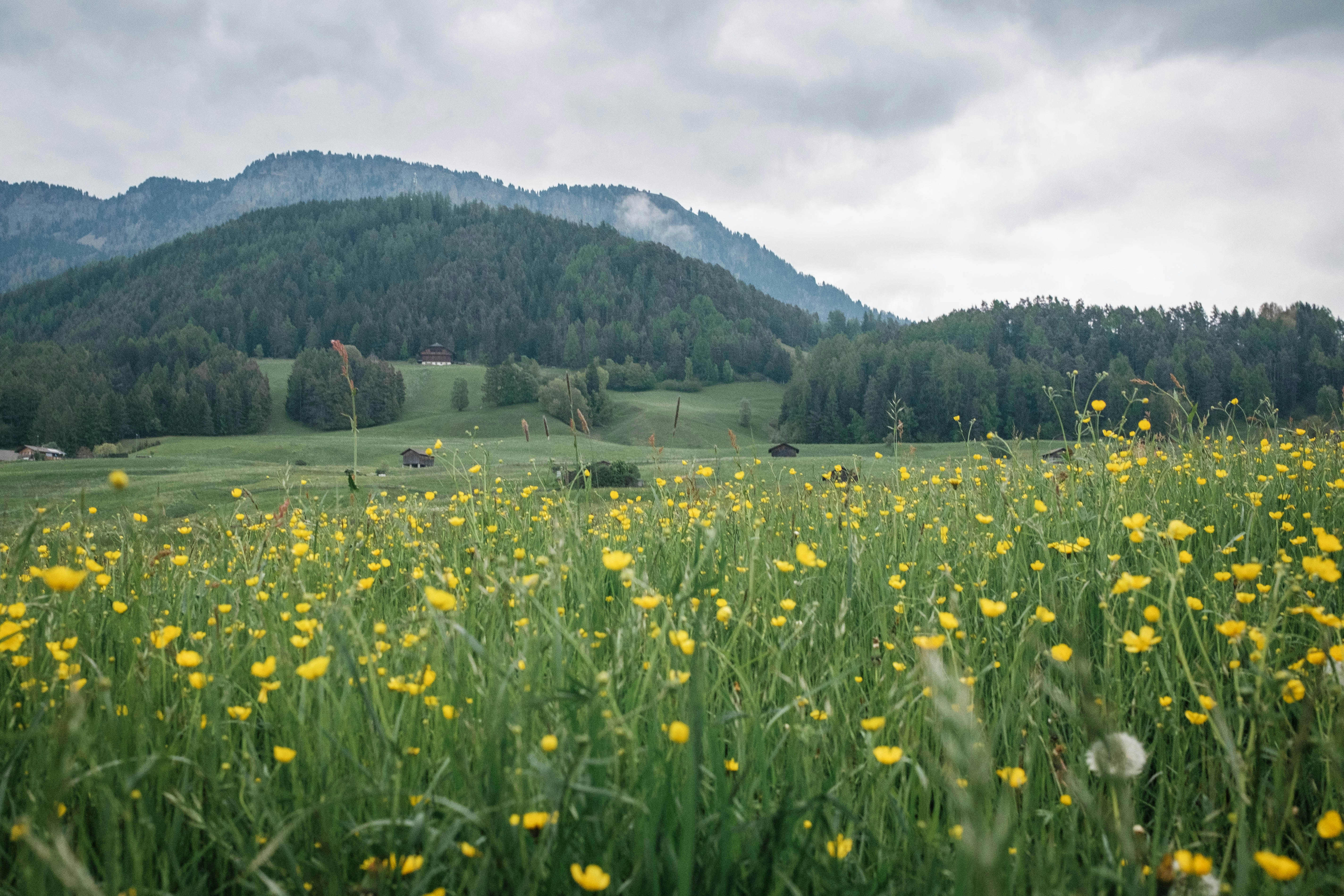 Photo by tomashirsch