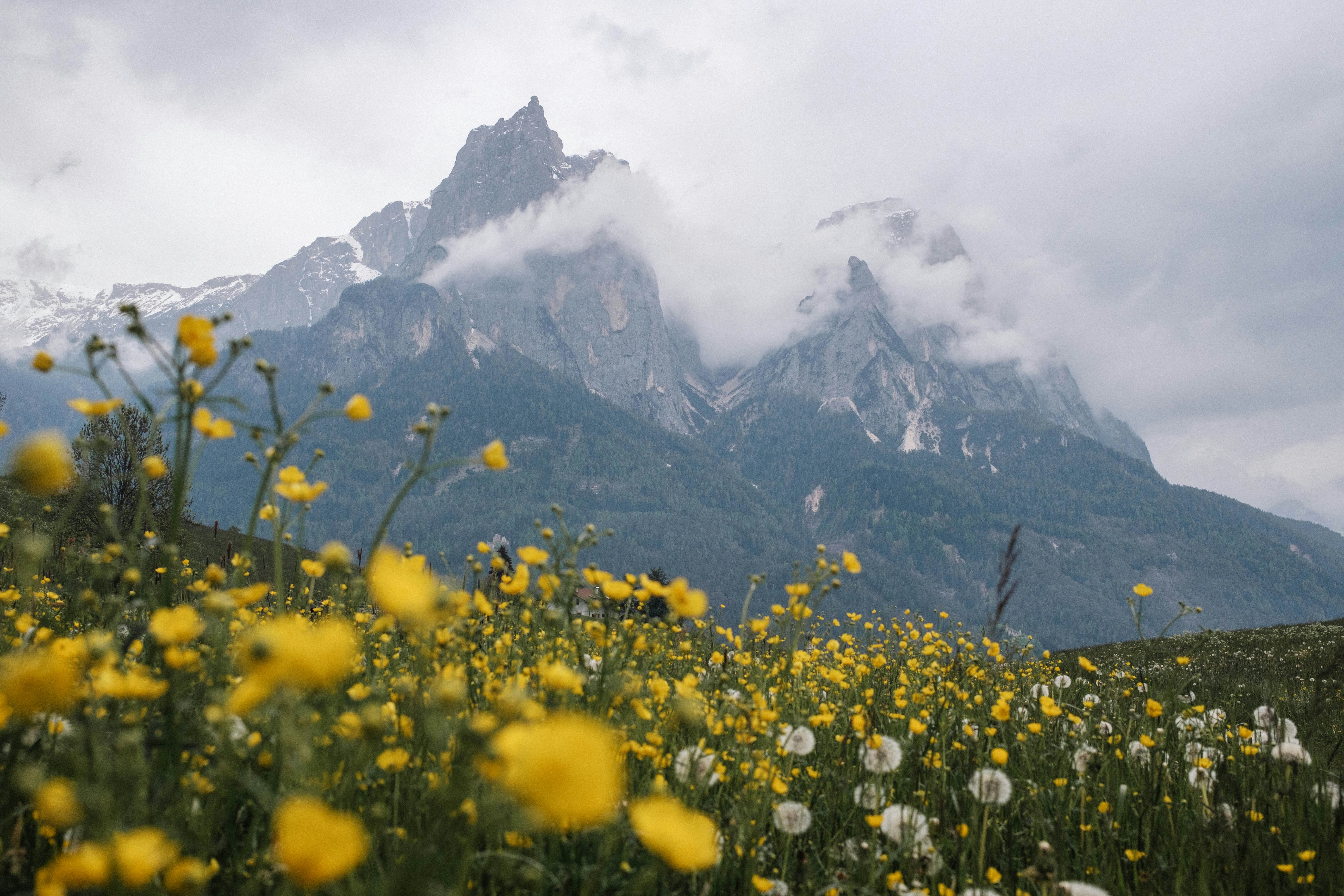 Photo by tomashirsch