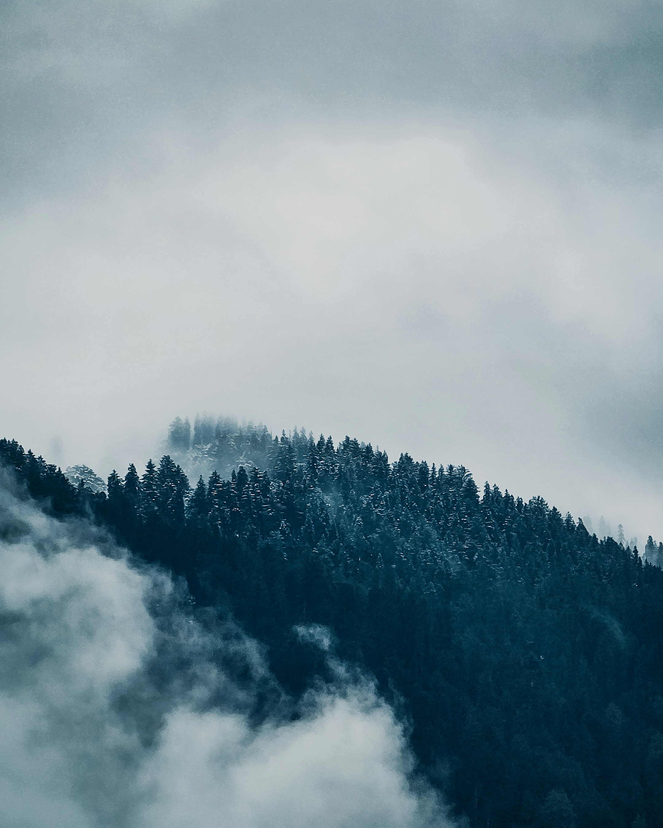 Photo by abhinand081