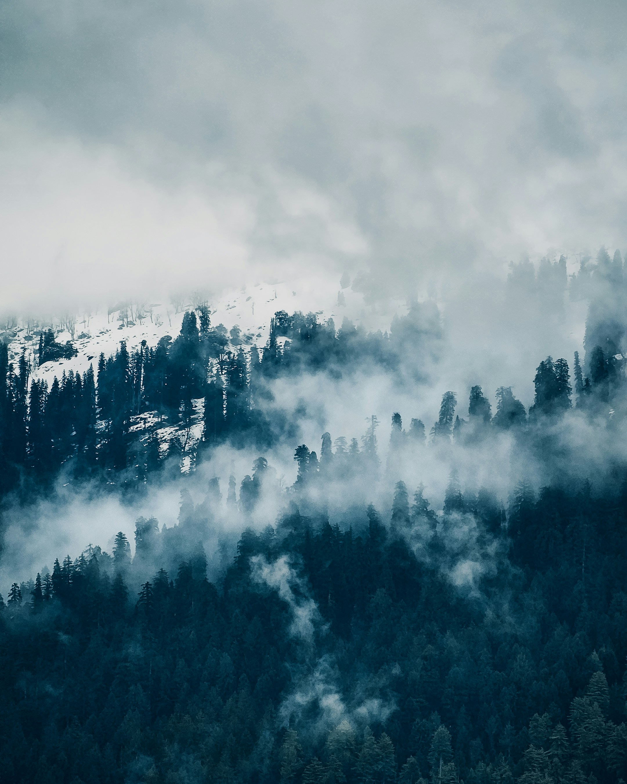 Photo by abhinand081