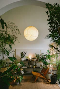A cozy, natural interior space filled with plants and warm light.