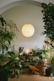 A cozy, lush indoor space filled with an array of green plants in various pots and planters. A warm, glowing spherical light fixture hangs from the ceiling, casting a soft light. A wooden chair with a woven seat and backrest is placed on a jute rug, contributing to the natural and inviting atmosphere. Shelves in the background hold more plants and decorative items, including lit candles.